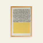 Shadow Medicine Package