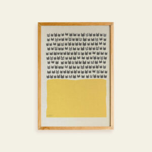 Shadow Medicine Package